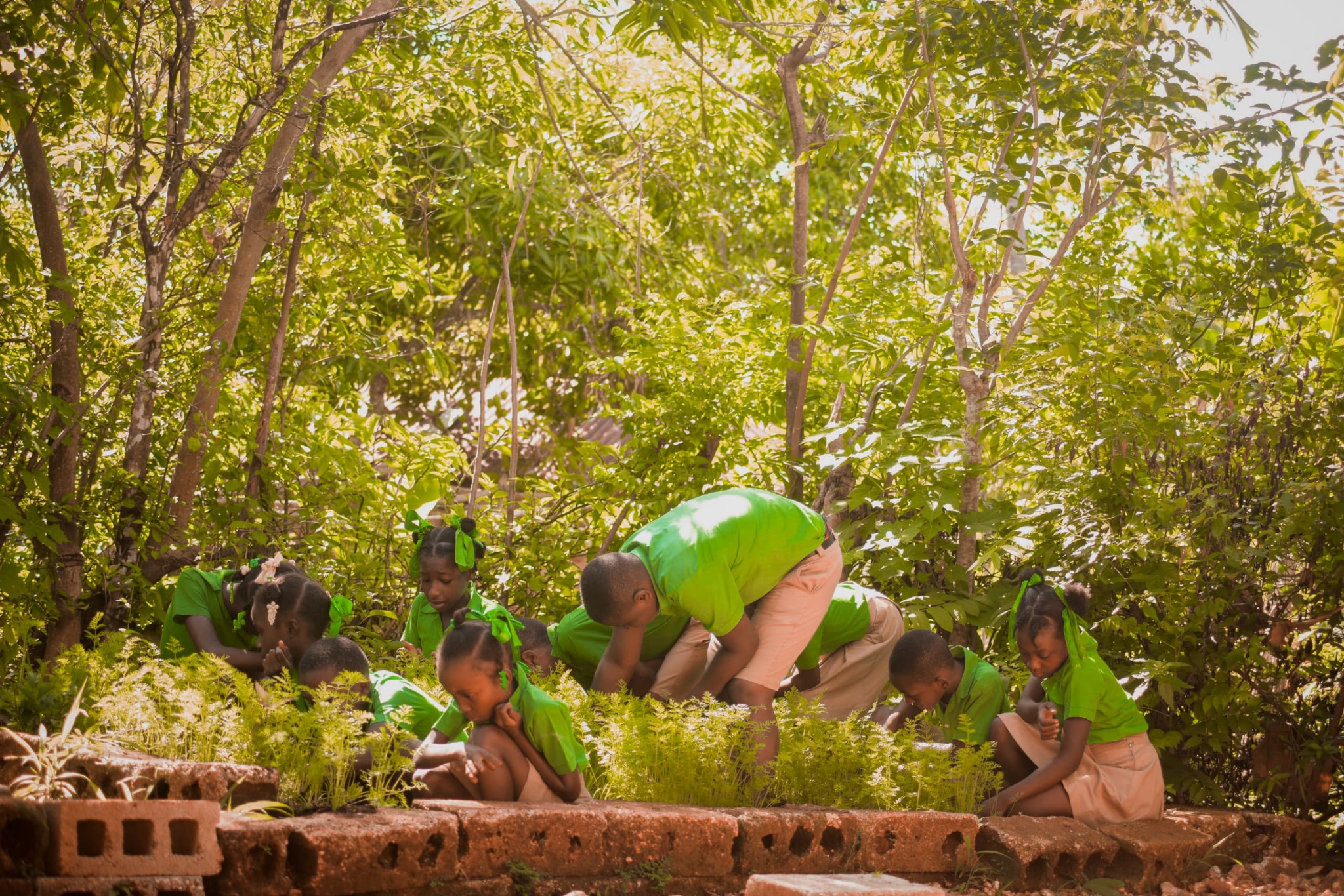 Elementary students tend a garden together at the HavServe Academy in Southern Haiti.